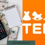 How To Make Money Off Temu