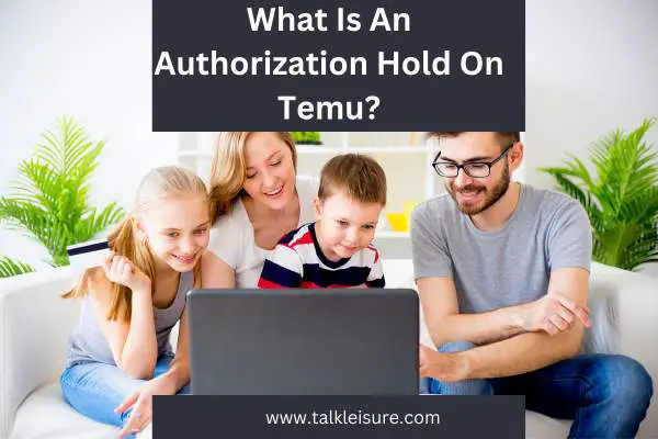 What Is An Authorization Hold On Temu