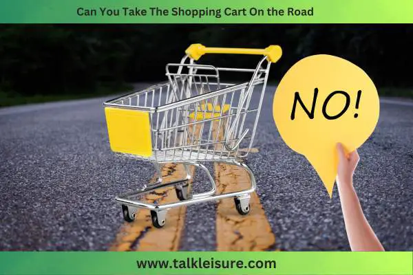 Can You Take The Shopping Cart On the Road