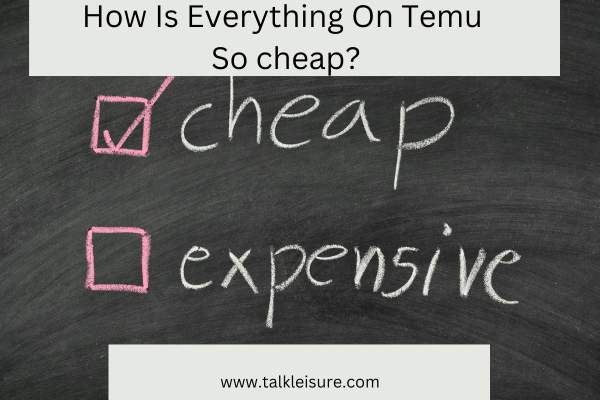 How Is Everything On Temu So cheap?