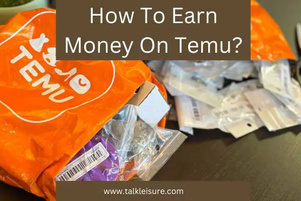 How To Earn Money On Temu?
