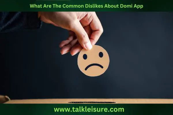 What Are The Common Dislikes About Domi App