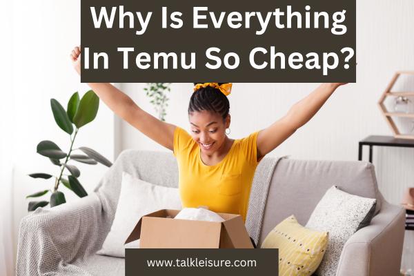 Why Is Everything In Temu So Cheap