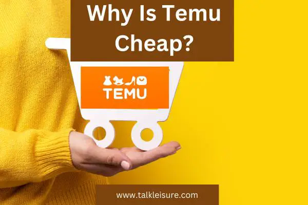 Why Is Temu Cheap?