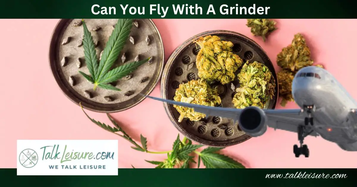 Can You Fly With A Grinder? Know About The TSA Regulations! Talk Leisure