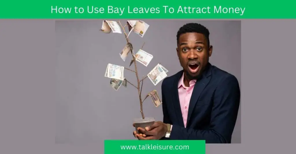 How to Use Bay Leaves To Attract Money