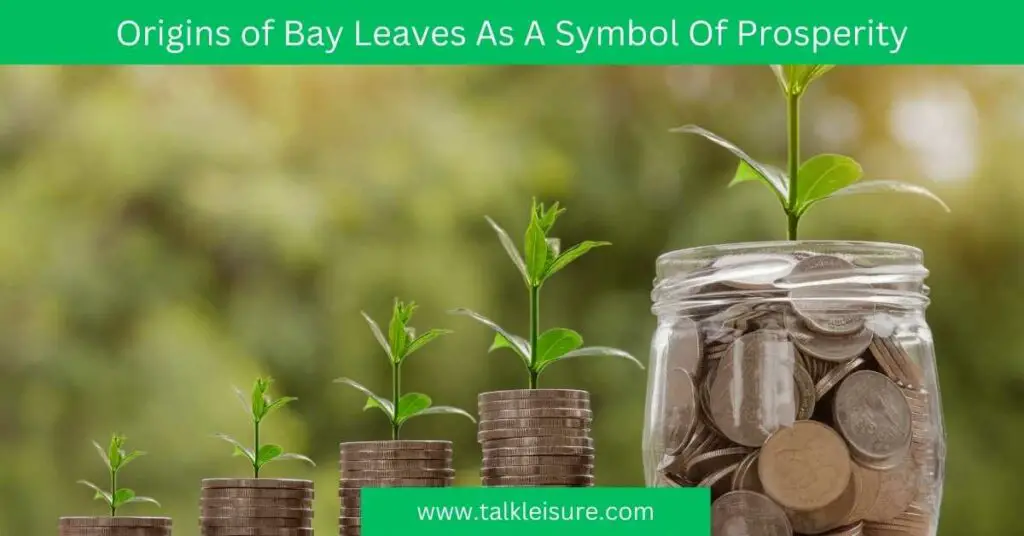 Origins of Bay Leaves As A Symbol Of Prosperity