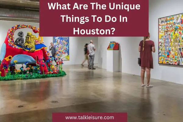 What Are The Unique Things To Do In Houston?