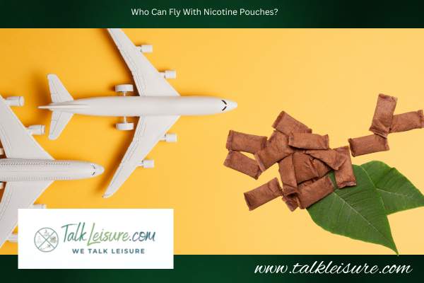 Who Can Fly With Nicotine Pouches?