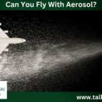 Can You Fly With Aerosol