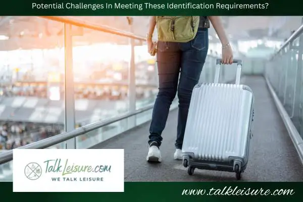 What Are The Potential Challenges For Undocumented Individuals In Meeting These Identification Requirements?