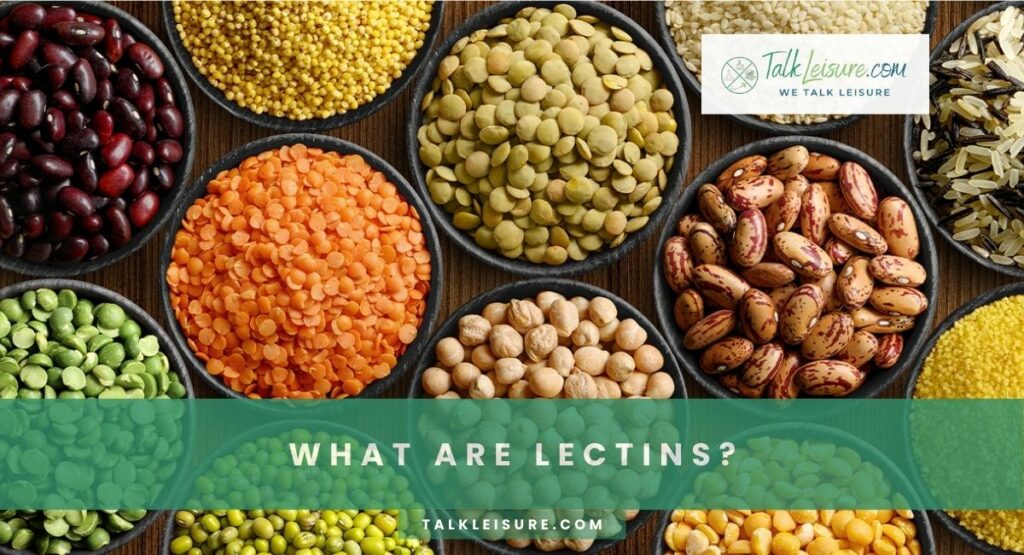 What Are Lectins?