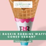 Are Baskin Robbins Waffle Cones Vegan?