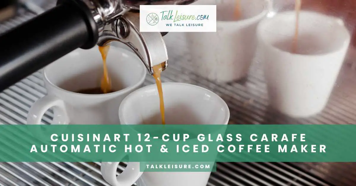 Cuisinart 12Cup Glass Carafe Automatic Hot & Iced Coffee Maker Talk