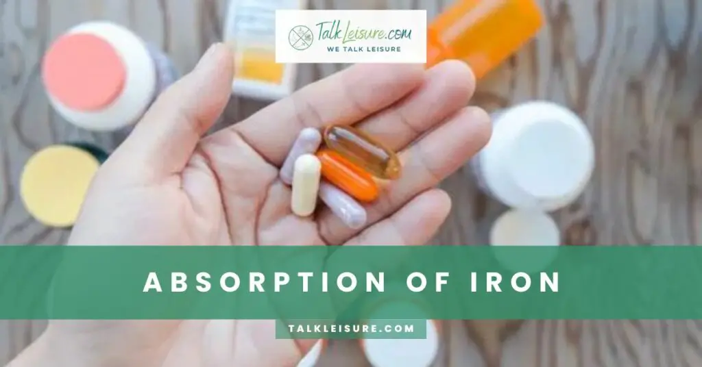 Absorption of Iron