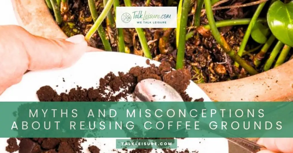 Myths and Misconceptions about Reusing Coffee Grounds