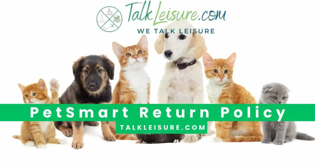 PetSmart Return Policy: Find Out Now.