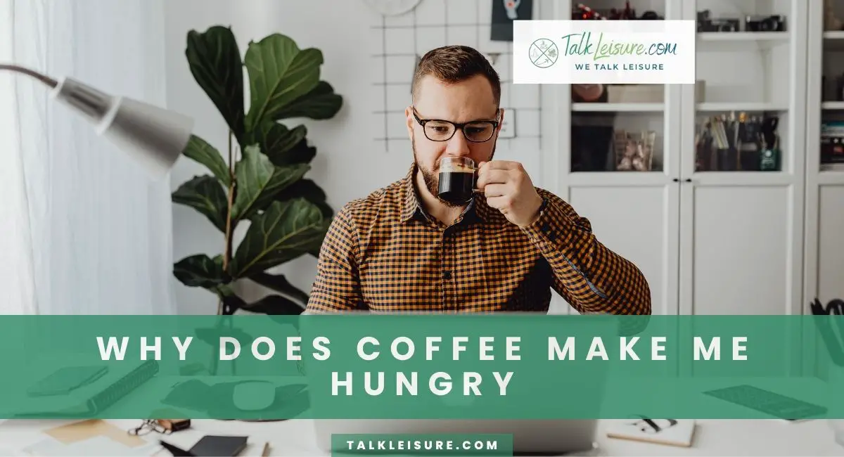 Why Does Coffee Make Me Hungry Understanding the Link Talk Leisure