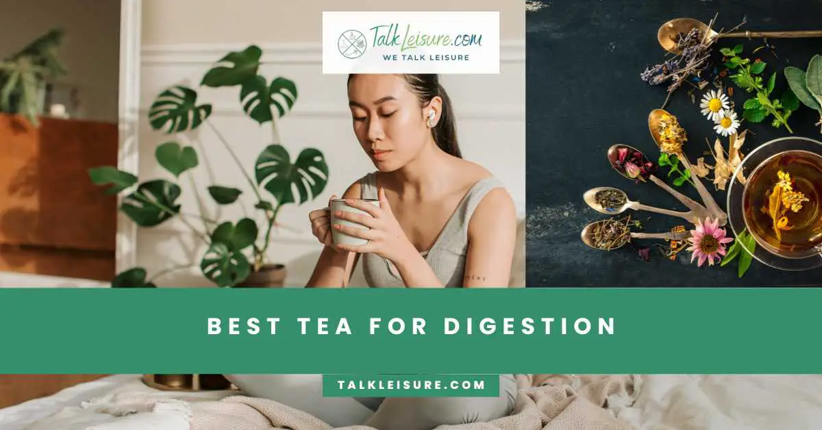 Best Teas For Digestion - Talk Leisure