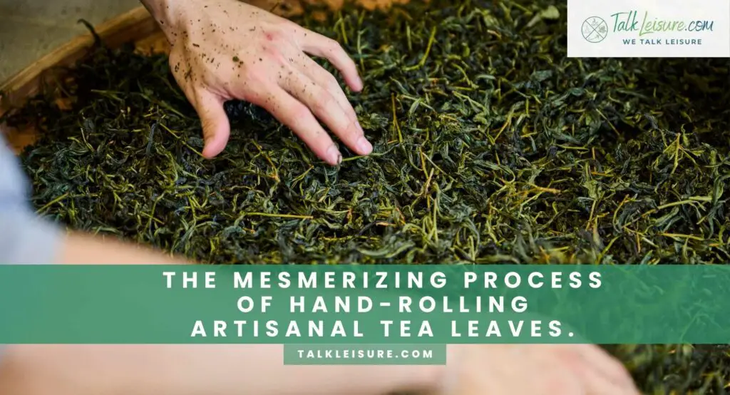 The Mesmerizing Process of Hand-Rolling Artisanal Tea Leaves.