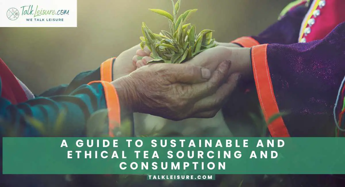 A Guide to Sustainable and Ethical Tea Sourcing and Consumption. Talk