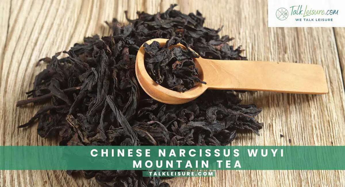 The World's Most Expensive Teas and What Makes Them Special. Talk Leisure