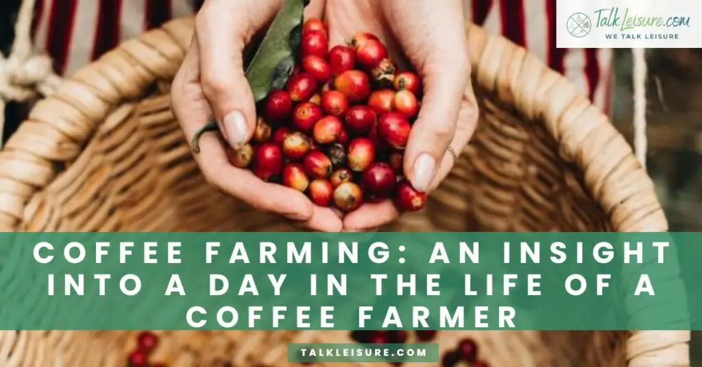 Coffee Farming_ An Insight into a Day in the Life of a Coffee Farmer