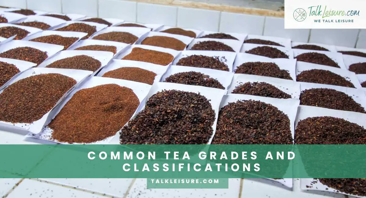 A Beginner's Guide to Understanding Tea Grades and Classifications