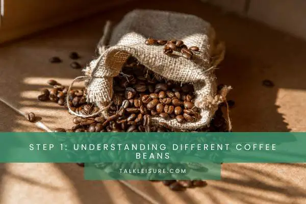 Step 1: Understanding Different Coffee Beans