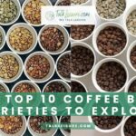 The Top 10 Coffee Bean Varieties to Explore