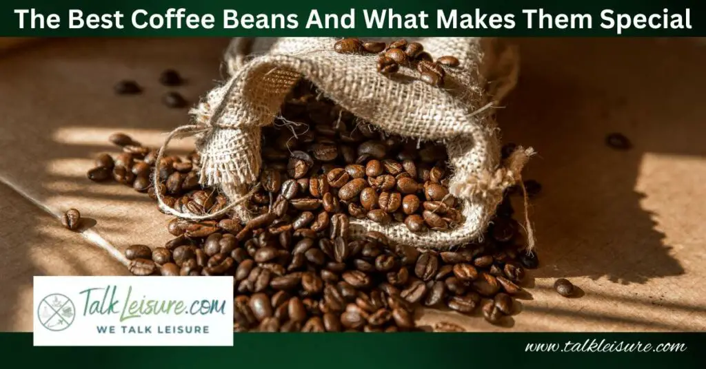 The Top 5 Countries with the Best Coffee Beans and What Makes Them Special