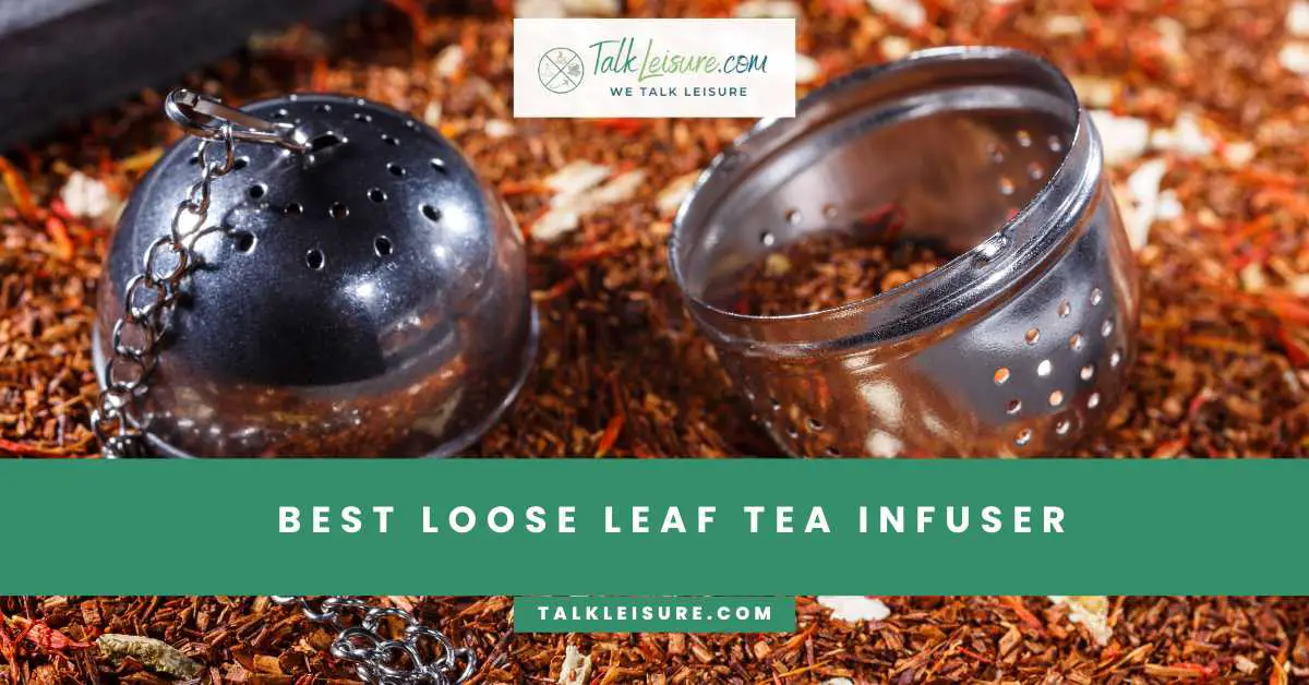 Best Looseleaf Tea Infuser 2024 Talk Leisure
