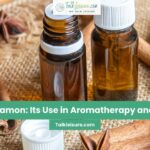 Aromatic Cinnamon: Its Use in Aromatherapy and Essential Oils