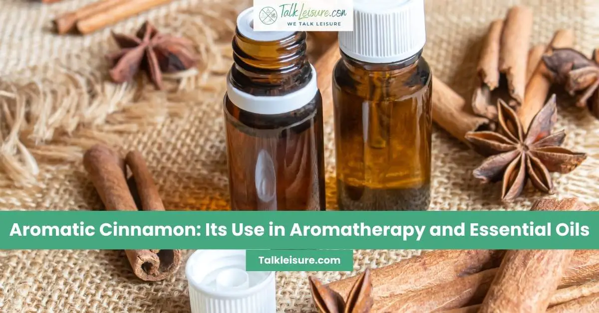 Aromatic Cinnamon: Its Use in Aromatherapy and Essential Oils