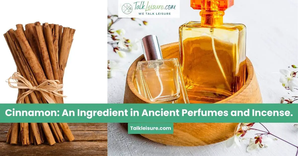 Cinnamon An Ingredient in Ancient Perfumes and Incense. Talk Leisure