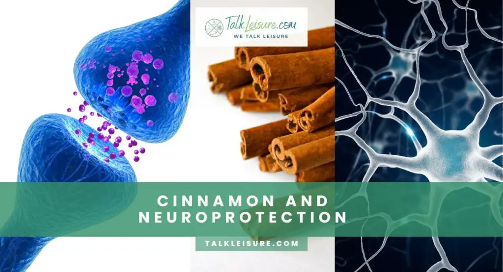 Cinnamon And Neuroprotection: A Closer Look At Its Effects On The Brain