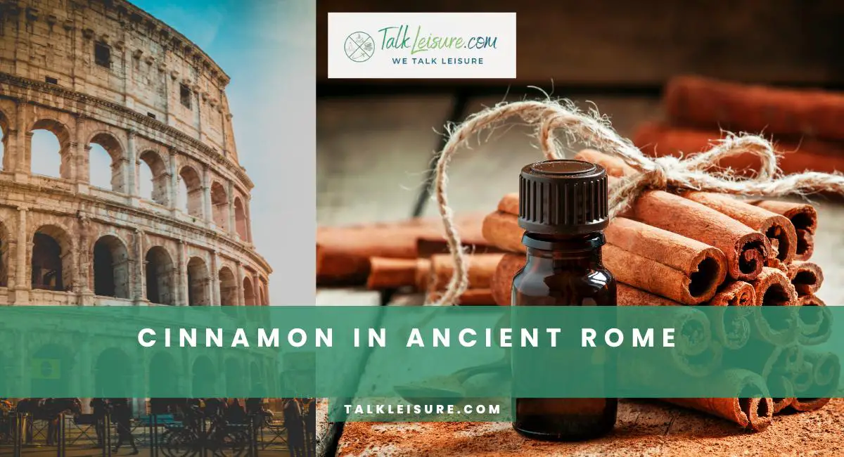 Cinnamon In Ancient Rome: From Perfumes To Healing