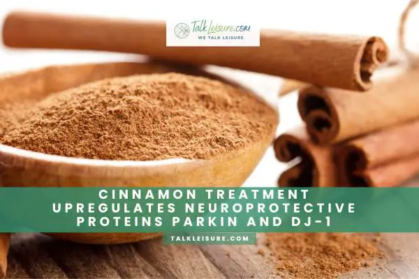 Cinnamon Treatment Upregulates Neuroprotective Proteins Parkin and DJ-1