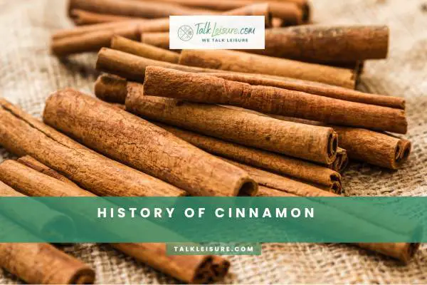 History Of Cinnamon