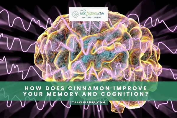 How Does Cinnamon Improve Your Memory And Cognition