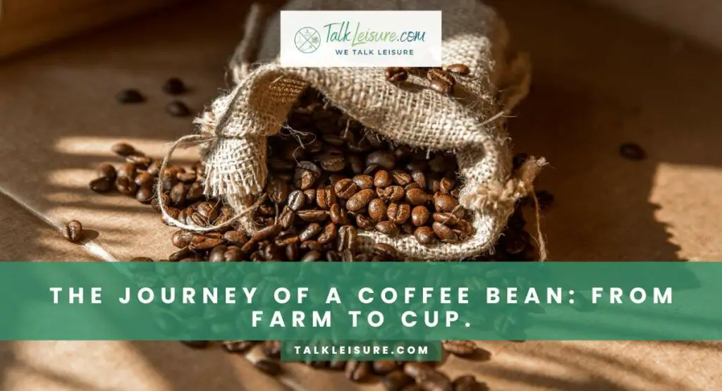 The Journey Of A Coffee Bean: From Farm To Cup.
