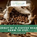 The Journey Of A Coffee Bean: From Farm To Cup.