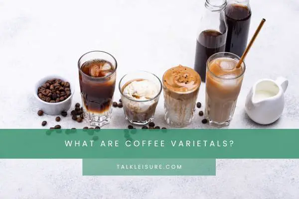 What Are Coffee Varietals?