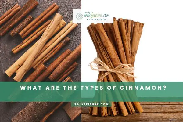 What Are The Types Of Cinnamon?