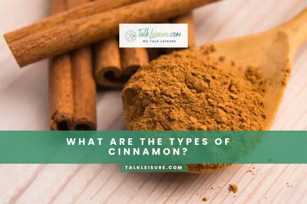 What Are The Types Of Cinnamon?