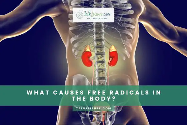 What Causes Free Radicals In The Body