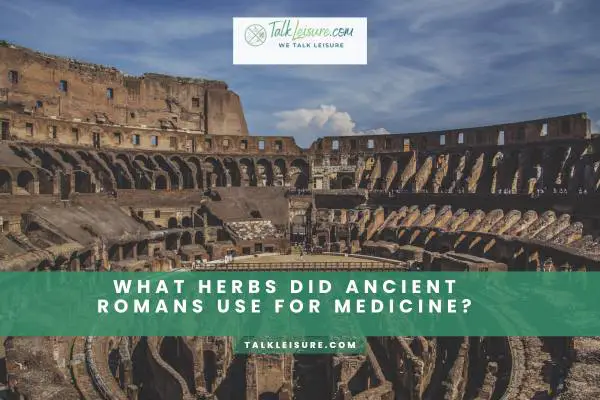 What Herbs Did Ancient Romans Use For Medicine?