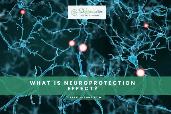 What Is Neuroprotection Effect