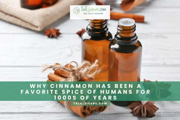 Why Cinnamon Has Been A Favorite Spice Of Humans For 1000s Of Years