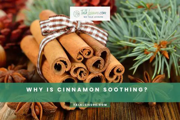Why Is Cinnamon Soothing?